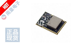 ATSAMB11-ZR210CA DƬ