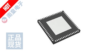 ATSAMD51J19A-MU-EFP DƬ