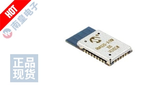 RN4020-V/RM DƬ