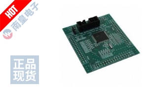 ML610Q409 REFBOARD DƬ