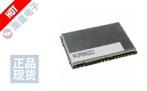 RGPSM202 DƬ