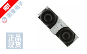 GP2W1001YP0F DƬ