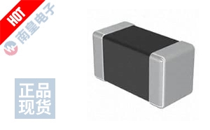 HKQ04021N9S-T DƬ