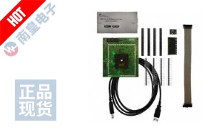 MSP-FET430U5X100 DƬ